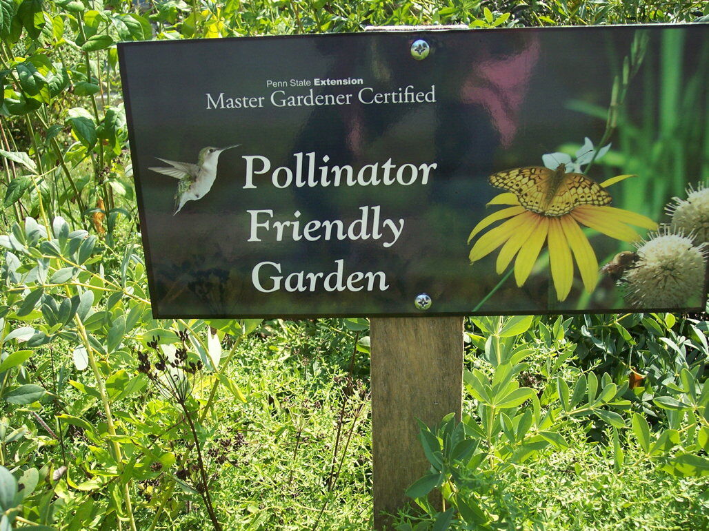 garden_02.jpg